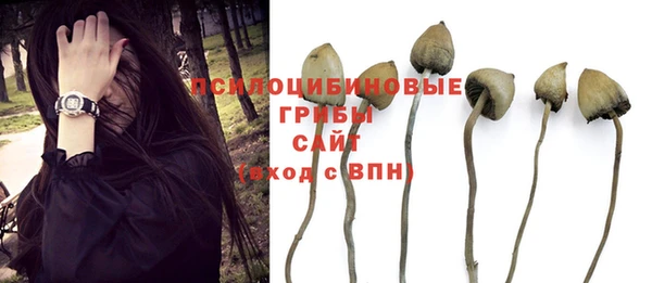 мяу мяу мука Няндома