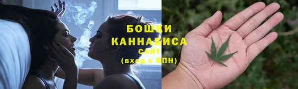 мяу мяу мука Няндома