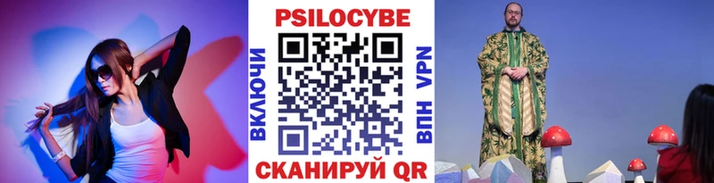 Псилоцибиновые грибы мухоморы  где купить наркоту  Калининец 
