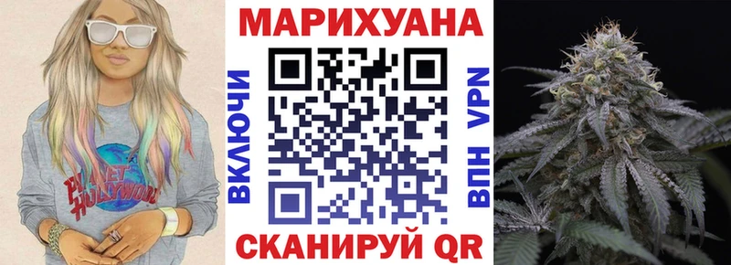 Конопля индика  Калининец 